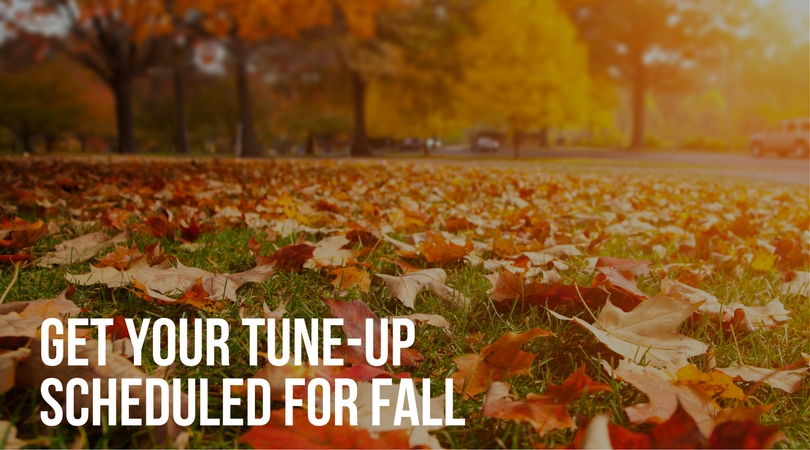 fall furnace tune-up arvada